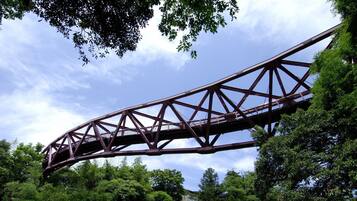 A steel bridge with a truss design, surrounded by dense green foliage and a clear sky.