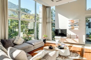 TV, fireplace, offices