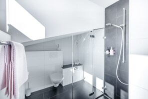 Shower, hair dryer, towels