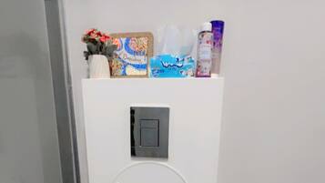 Shower, hair dryer, bidet, towels