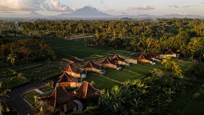 A resort with thatched-roof bungalows arranged in a semi-circular layout, surrounded by lush greenery and palm trees.