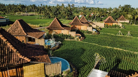 One Bedroom Wooden Pool Villa | 1 bedroom, minibar, desk, free WiFi