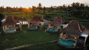 A resort with multiple bungalow-style buildings, each featuring a private pool and surrounded by lush greenery.