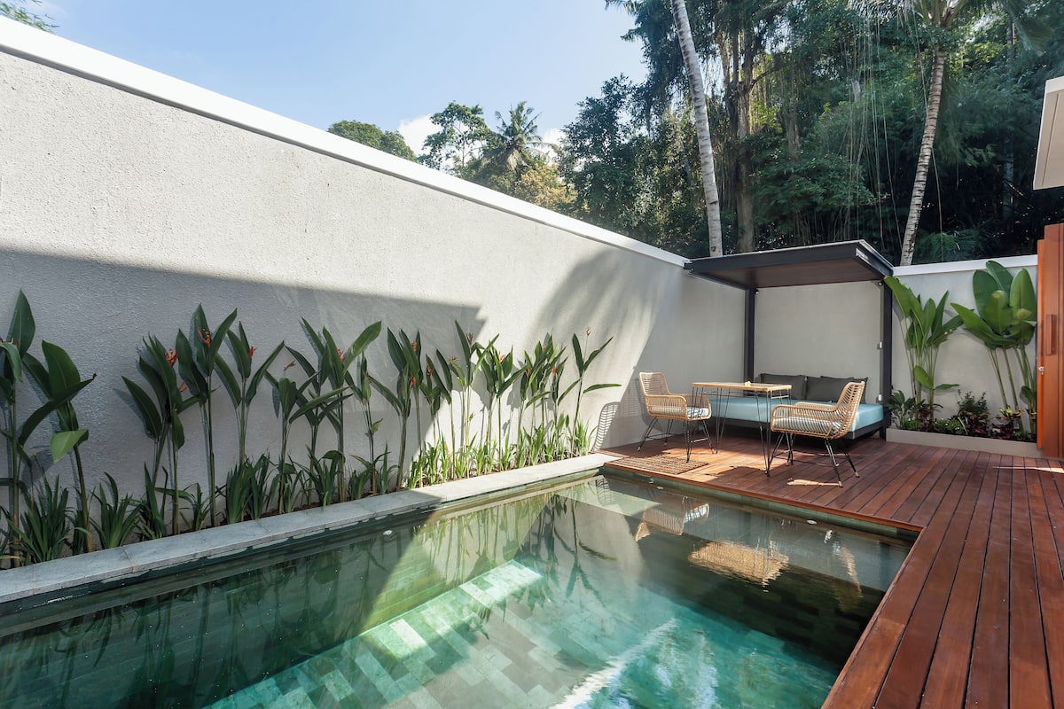 Une piscine dotée d’une terrasse en bois, entourée de plantes et bordée d’un mur blanc.