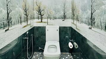 Hair dryer, bidet, towels, toilet paper