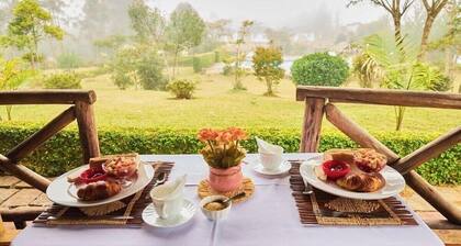 Andasibe Sifaka Lodge