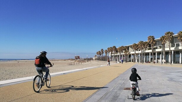 A beachside promenade with a cyclist and a child on a bike, palm trees, and a clear sky.