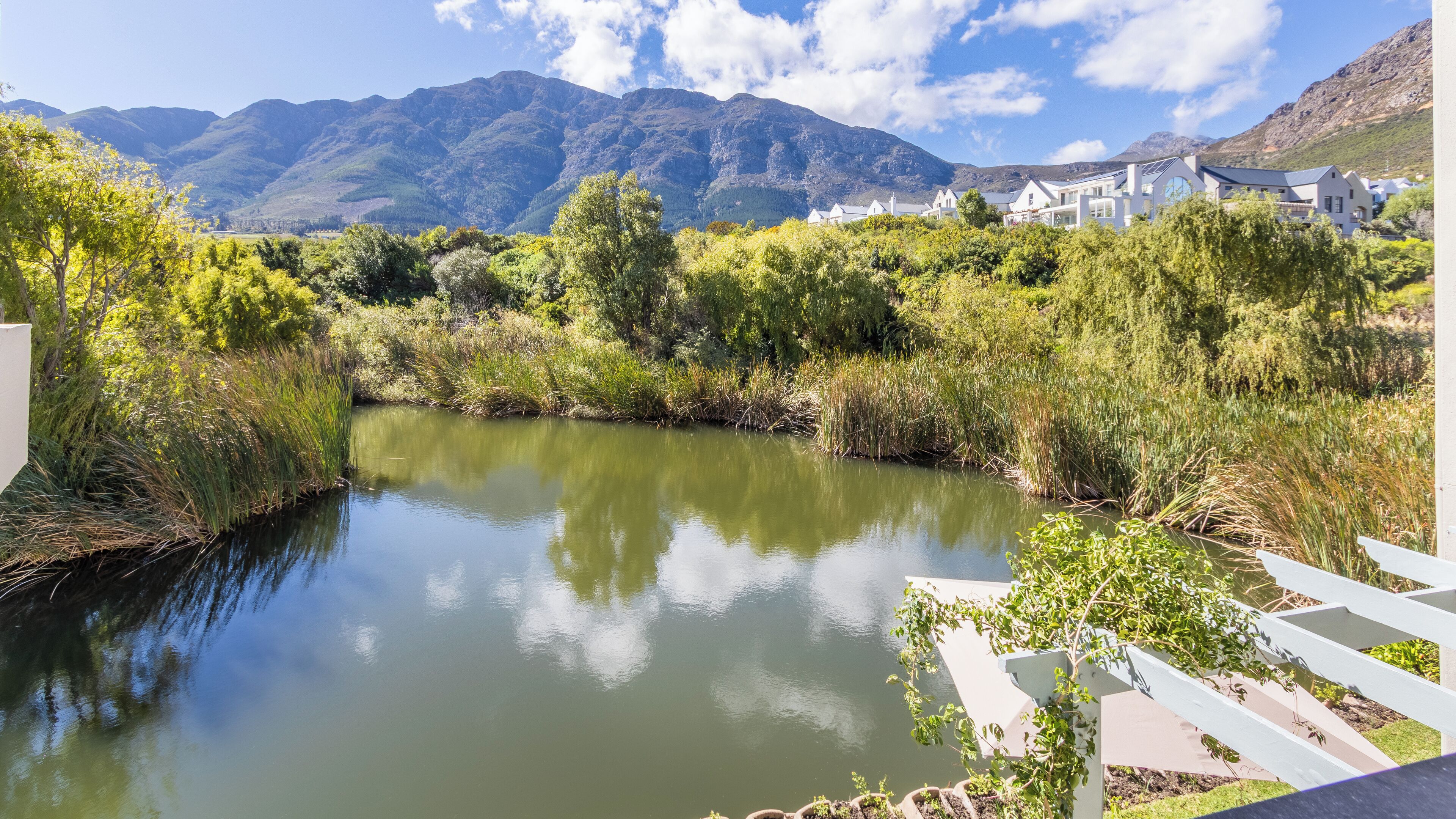 A river with surrounding greenery and mountains in the background.