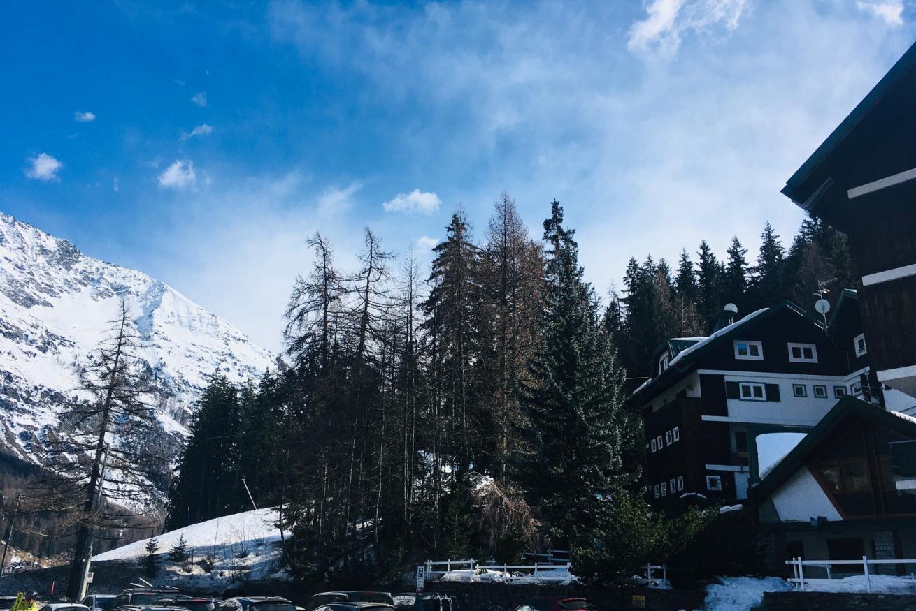 A mountain lodge with a snow-covered roof, surrounded by tall pine trees and a clear blue sky.