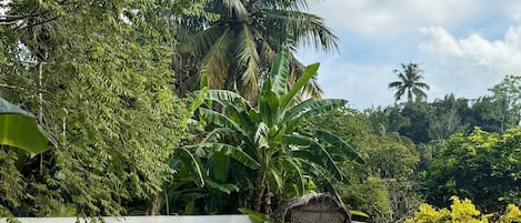 A swimming pool with white lounge chairs and a thatched-roof structure.