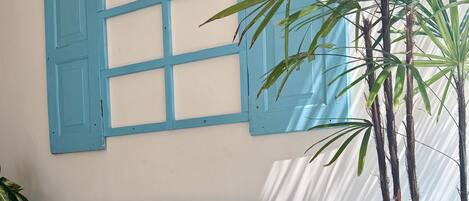 A room with a grey sofa, a blue wall-mounted shutter, and a large potted plant.