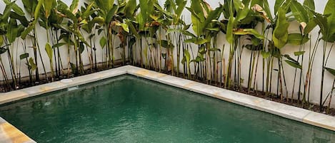 Luxury Villa, 1 Bedroom, Pool View, Beachfront | Exterior