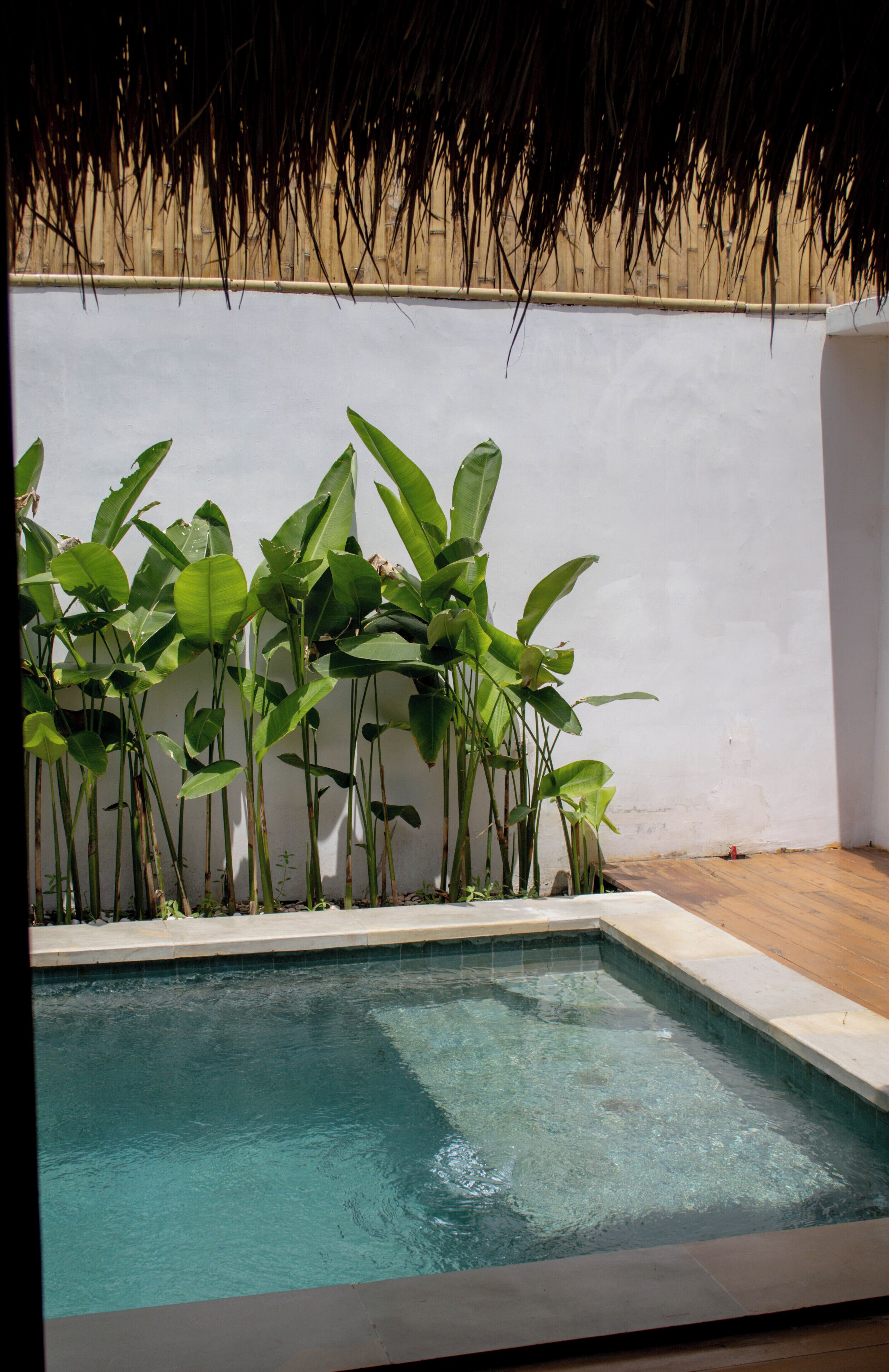 A swimming pool with a tiled edge, surrounded by lush green plants and a thatched roof overhead.