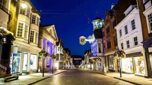 Une rue pavée bordée de bâtiments historiques, dont certains présentent des façades illuminées et des jardinières suspendues remplies de fleurs.