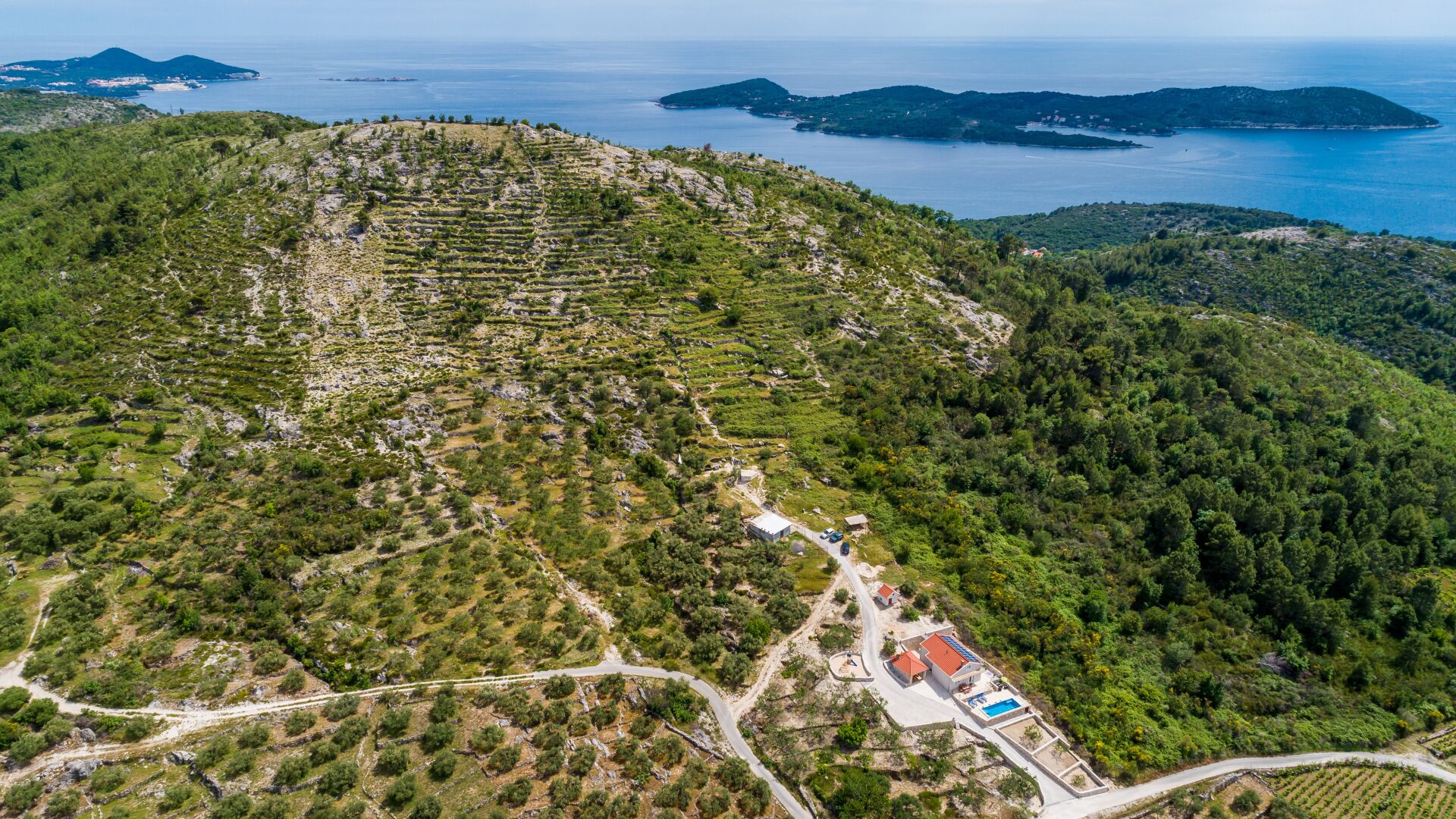 An aerial view of a terraced vineyard with a road leading to a small building with a red roof, surrounded by lush greenery and overlooking a coastal area.