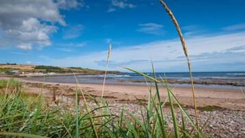 A beach with grassy foreground, a clear sky, and a calm sea.
