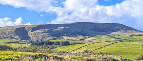 A rural landscape with a stone wall and a winding road leading to a hill.