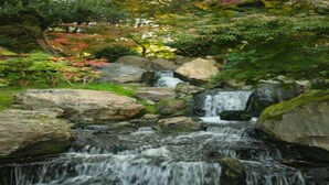 Ein Wasserfall stürzt über Felsen in einem Garten mit üppiger Vegetation und Bäumen.