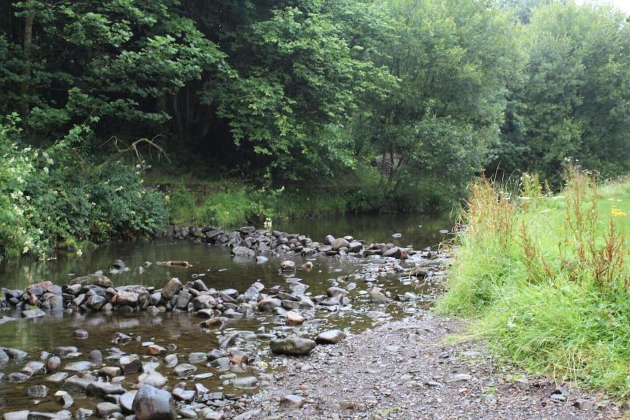 A natural stream with rocks and greenery.
