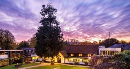 Sunday BoxHill Burford Bridge Hotel Standrd Double
