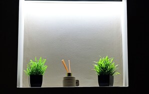 Miscellaneous - CRIBA ROOMS - Sofia Room. (Bari)