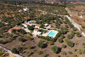 An aerial view of a residential area with houses, a swimming pool, and olive groves.