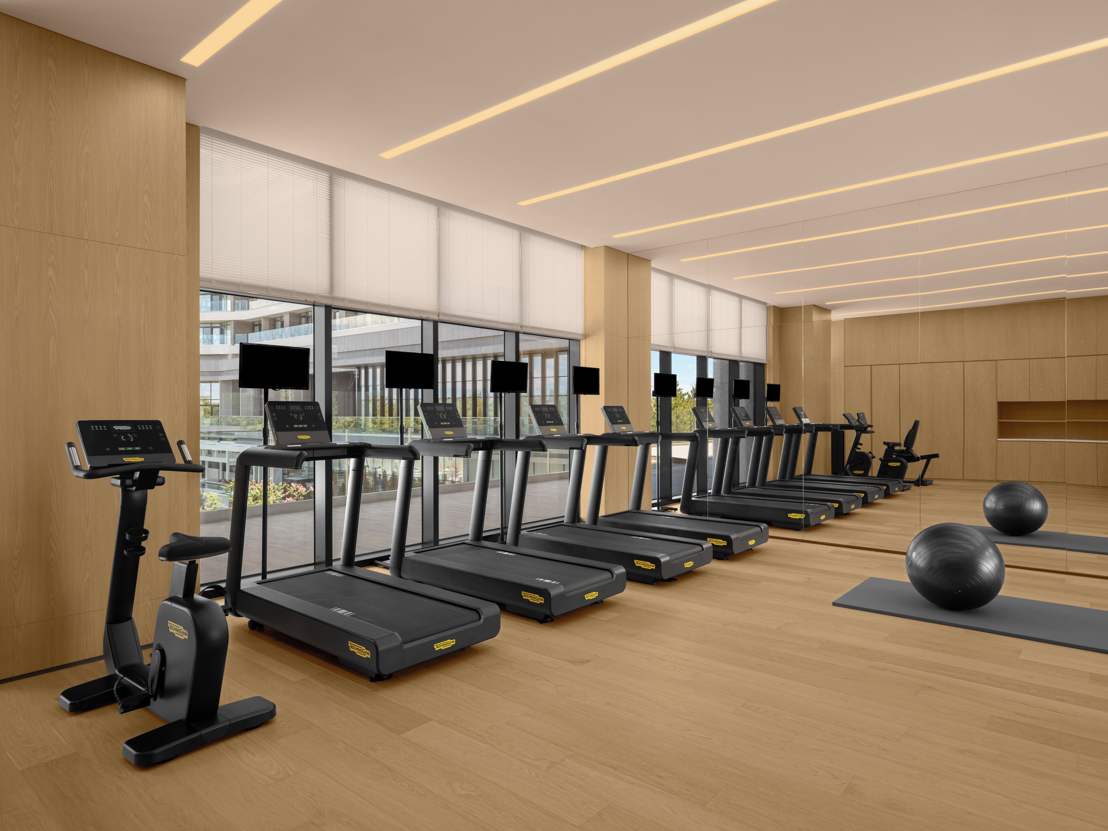 Une salle de sport équipée de tapis de course, de ballons d’exercice et offrant une vue sur l’extérieur.