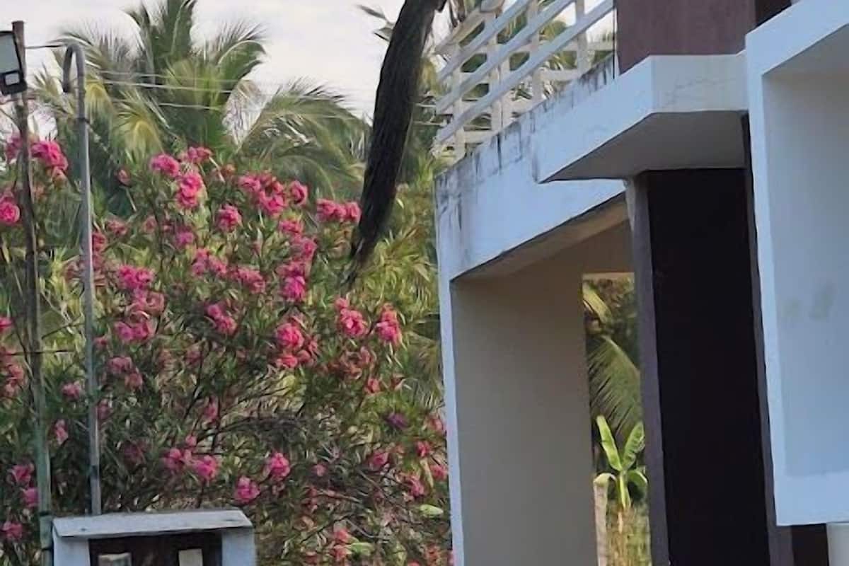 Ein Gebäude mit einem Balkon und einem Vogel darauf.