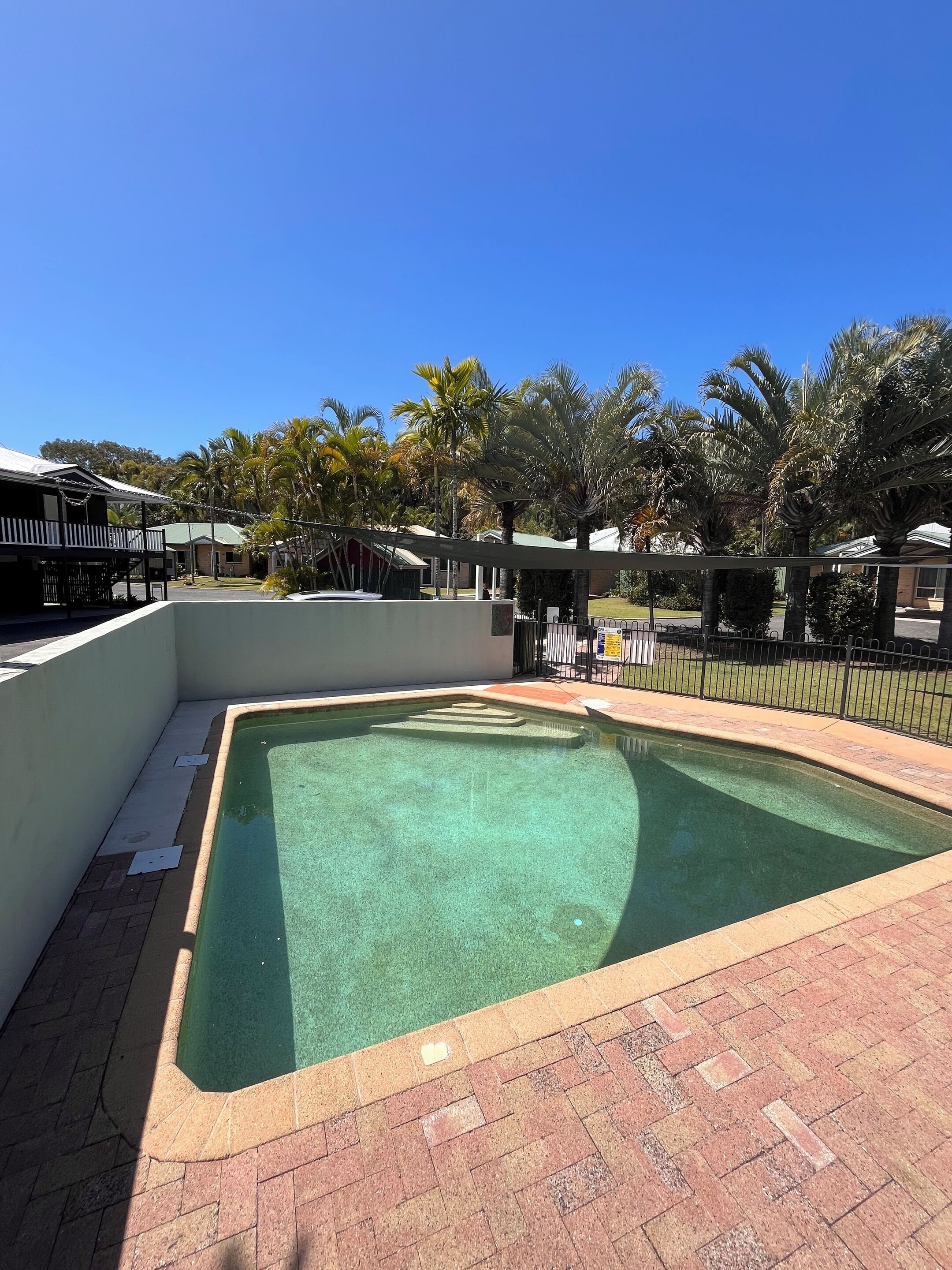 A swimming pool with a brick border, surrounded by a fence and palm trees.