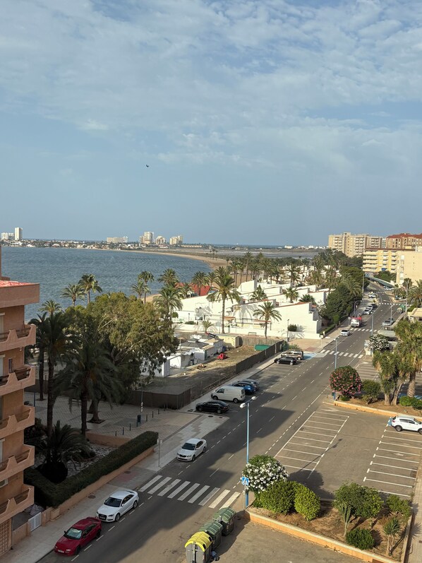 Un paisaje costero con vista al mar, palmeras y una calle con coches estacionados.