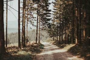 Miscellaneous