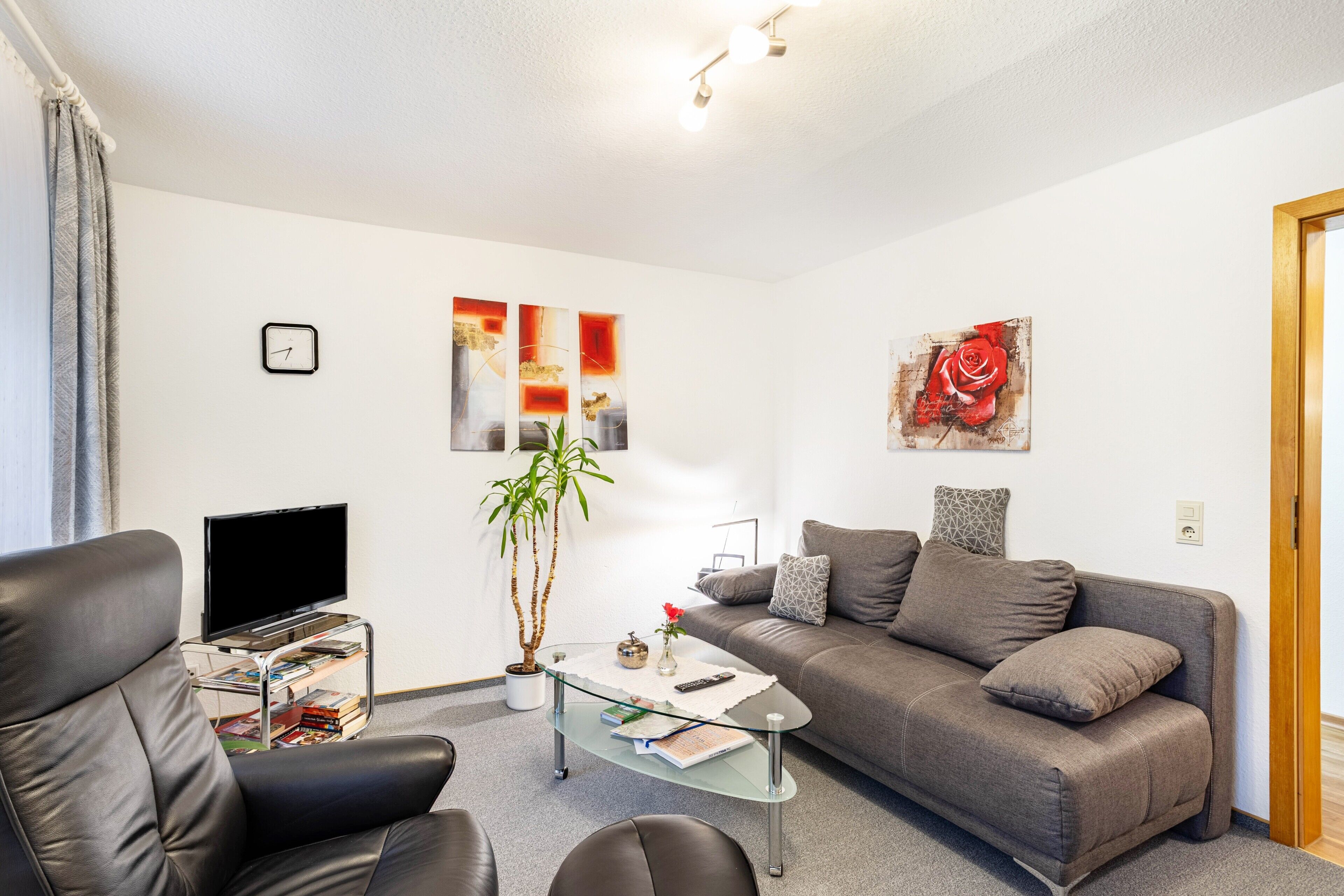 电视、乒乓球、立体声音响