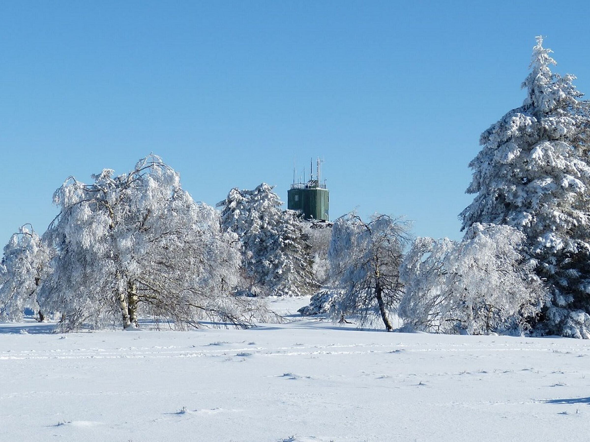 Un paisaje nevado con árboles y una torre de agua.