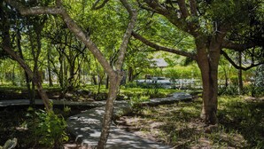 A stone pathway in a park with trees and greenery. - one bedroom 8 min to the beach (Diani Beach)