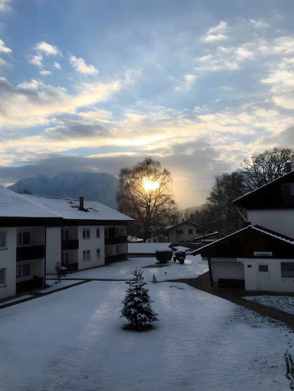 A residential area with snow-covered ground, a small tree, and buildings with visible windows and balconies.