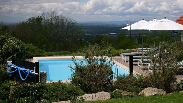 Ein Schwimmbad mit Blick auf die Landschaft, umgeben von Grünpflanzen und Felsen.