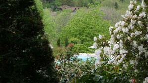 A lush garden with dense foliage and white flowering shrubs. - Apartment 'Bachblick' with Shared Pool and Wi-Fi (Sasbachwalden)