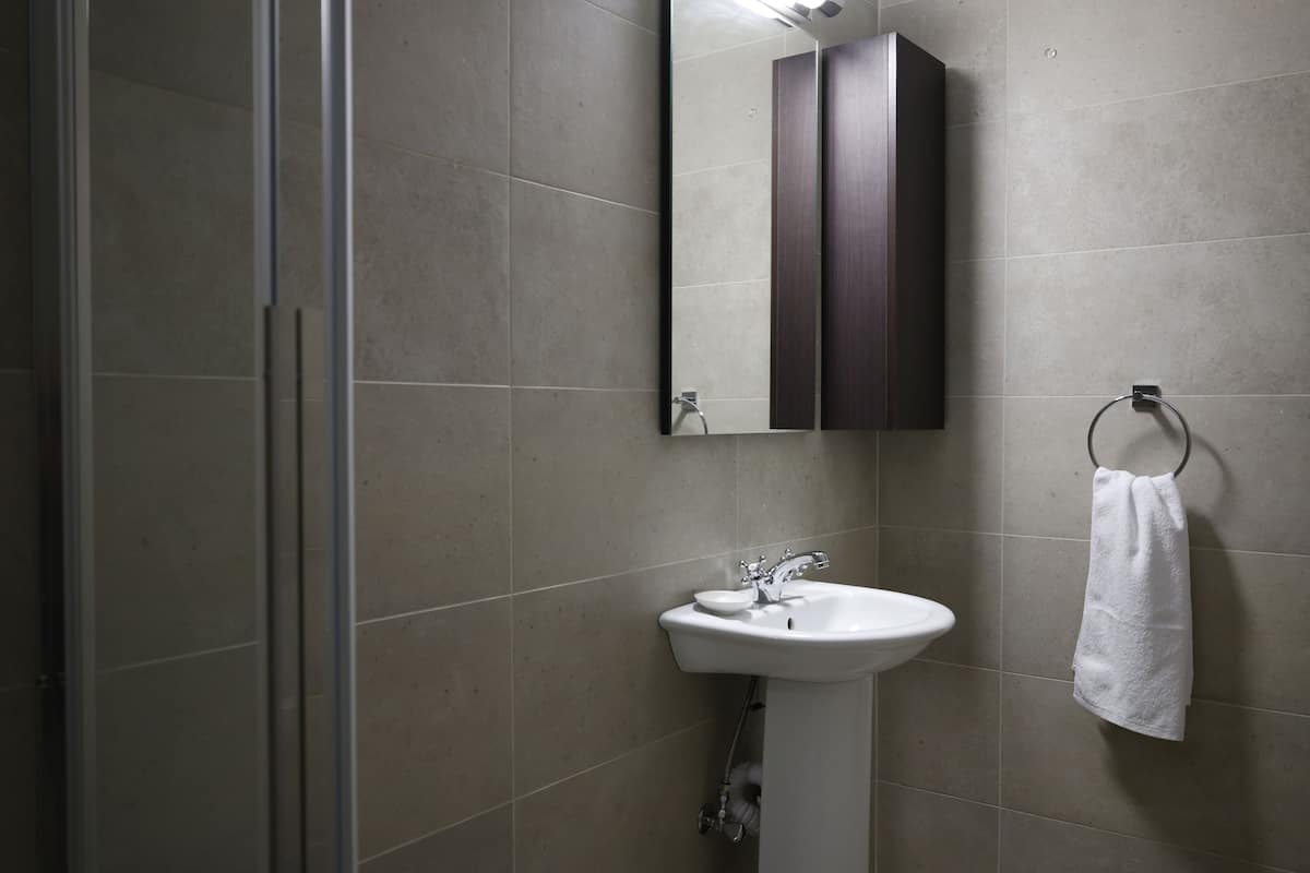 Shower, free toiletries, hair dryer, towels