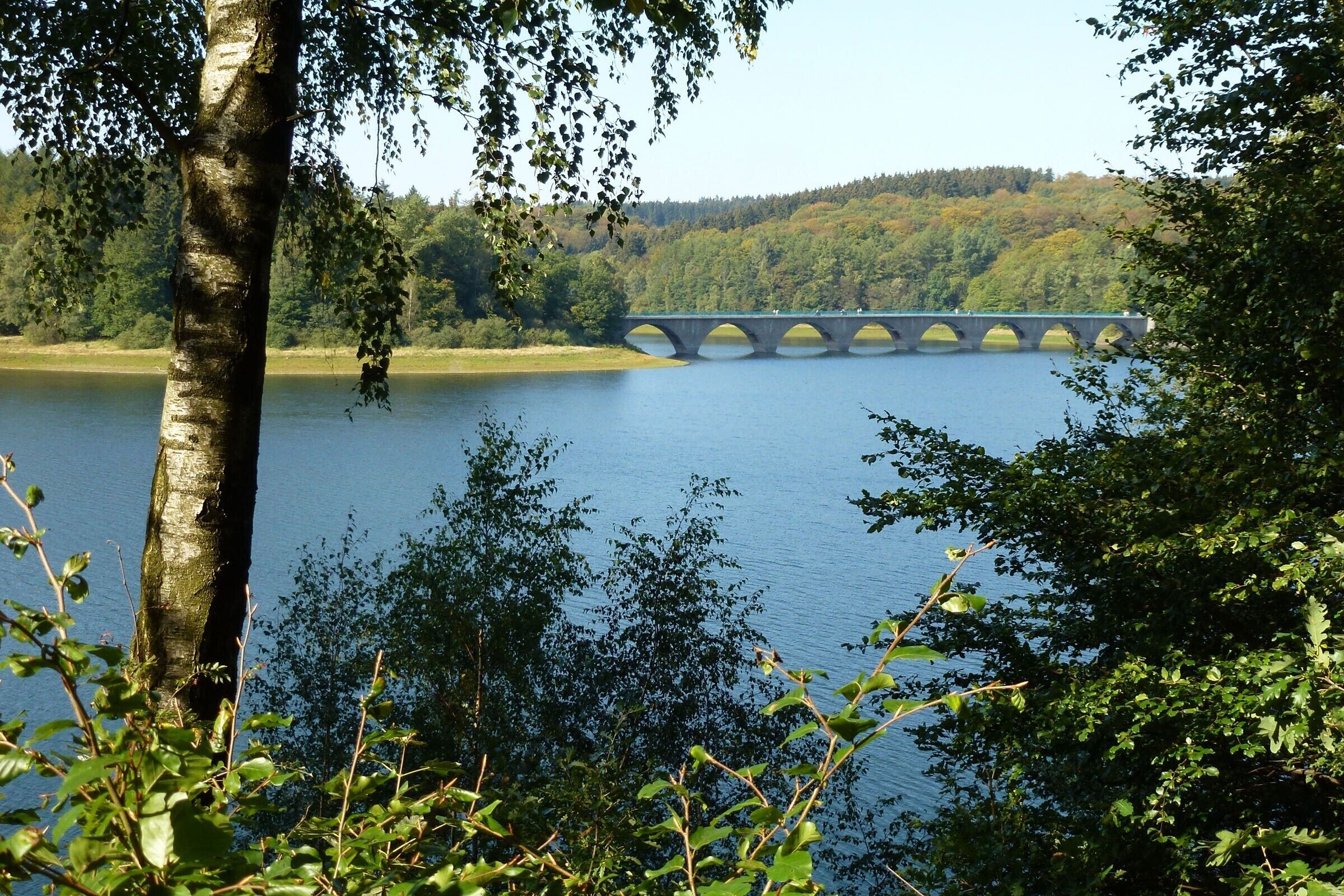 Un puente sobre un lago tranquilo bordeado de árboles.