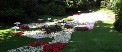 Overnatningsstedets område