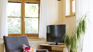 A room with a grey armchair, a television on a wooden desk, a potted plant, and a window with white curtains. - Apartment 'Stapelfeldt' with Private Terrace, Shared Garden and Wi-Fi (Wasserburg (Bodensee))