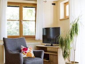 Une pièce avec un fauteuil gris, un téléviseur posé sur un bureau en bois, une plante en pot et une fenêtre ornée de rideaux blancs.