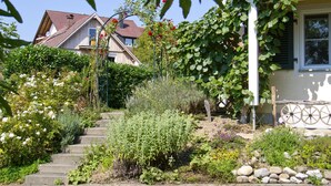 A garden with steps leading to a house, surrounded by various plants and flowers. - Apartment 'Stapelfeldt' with Private Terrace, Shared Garden and Wi-Fi (Wasserburg (Bodensee))