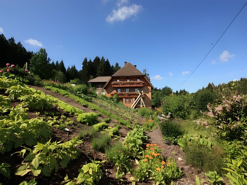 Apartment 'Waldblick' with Shared Pool, Shared Garden and Wi-Fi