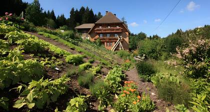 Apartment 'Waldblick' with Shared Pool, Shared Garden and Wi-Fi