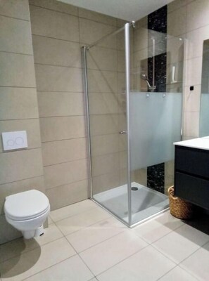 Shower, hair dryer, towels, toilet paper