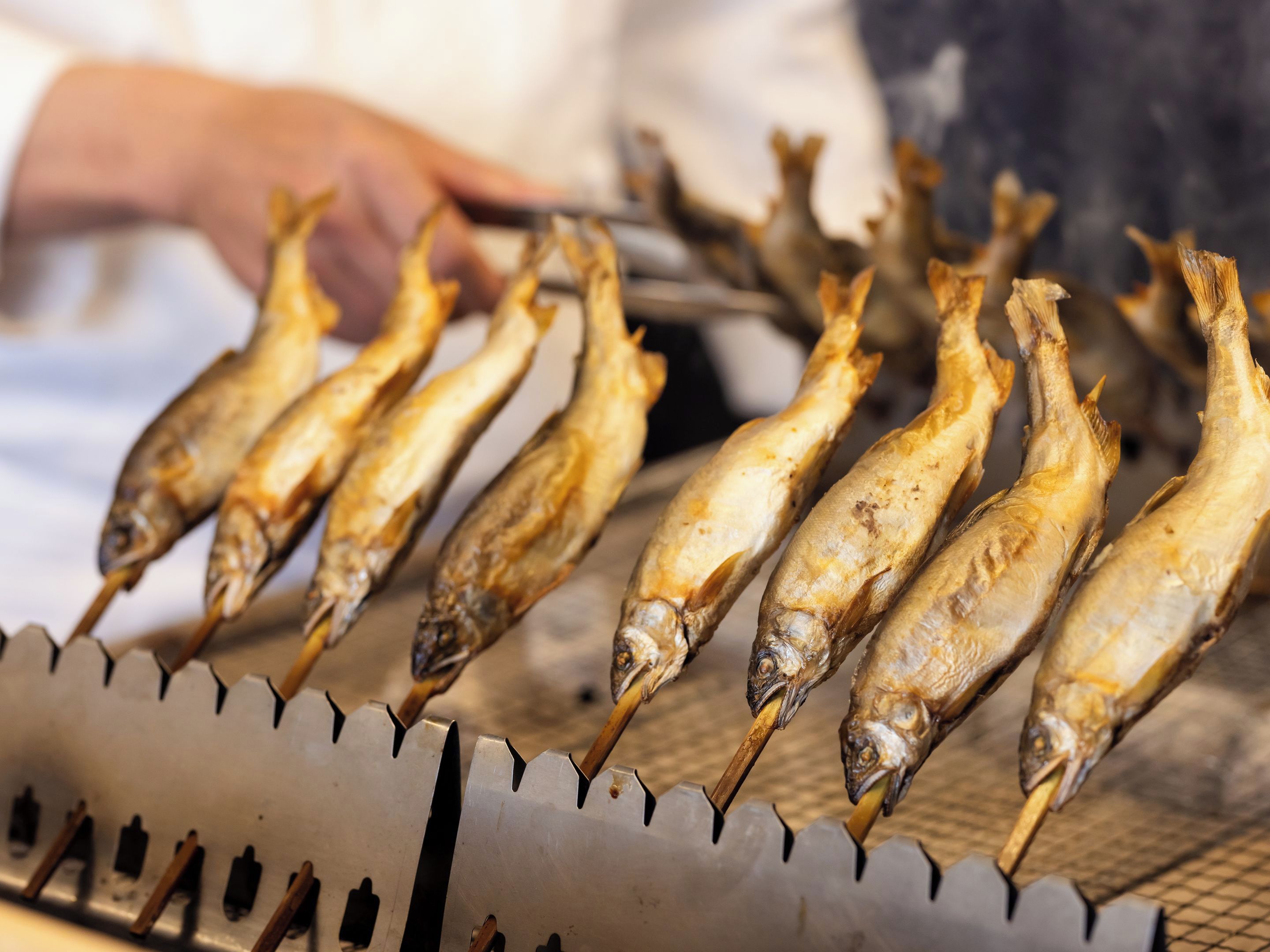 Une personne qui fait griller du poisson sur une grille métallique.