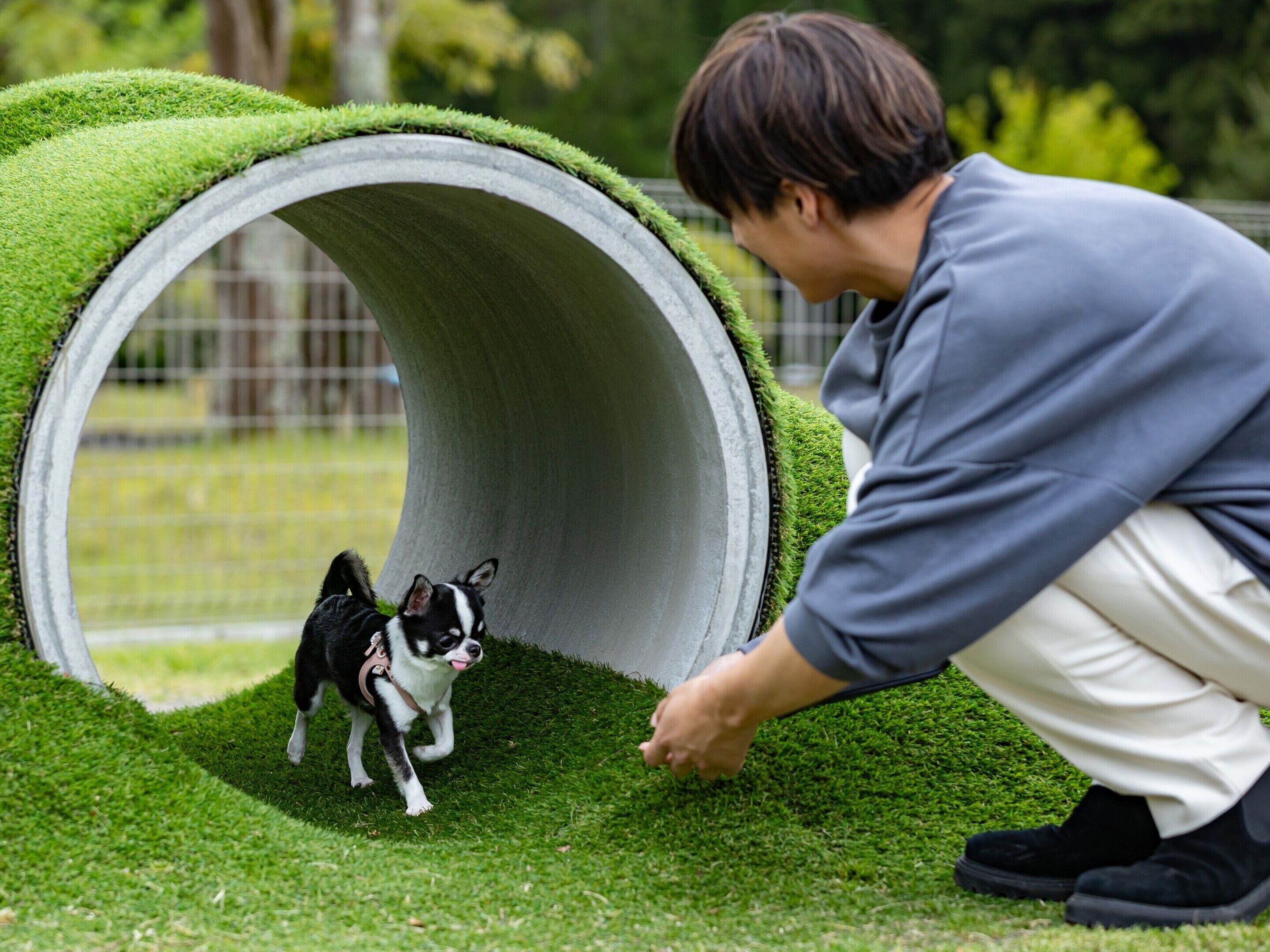 Uma pessoa agachada ao lado de um cão numa área gramada com uma estrutura semelhante a um túnel.