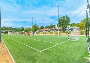 Ein Fußballfeld mit Toren und Spielern.