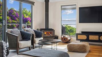 TV, fireplace, books, stereo